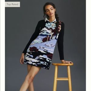 Anthropologie meave scenic mini sweater dress